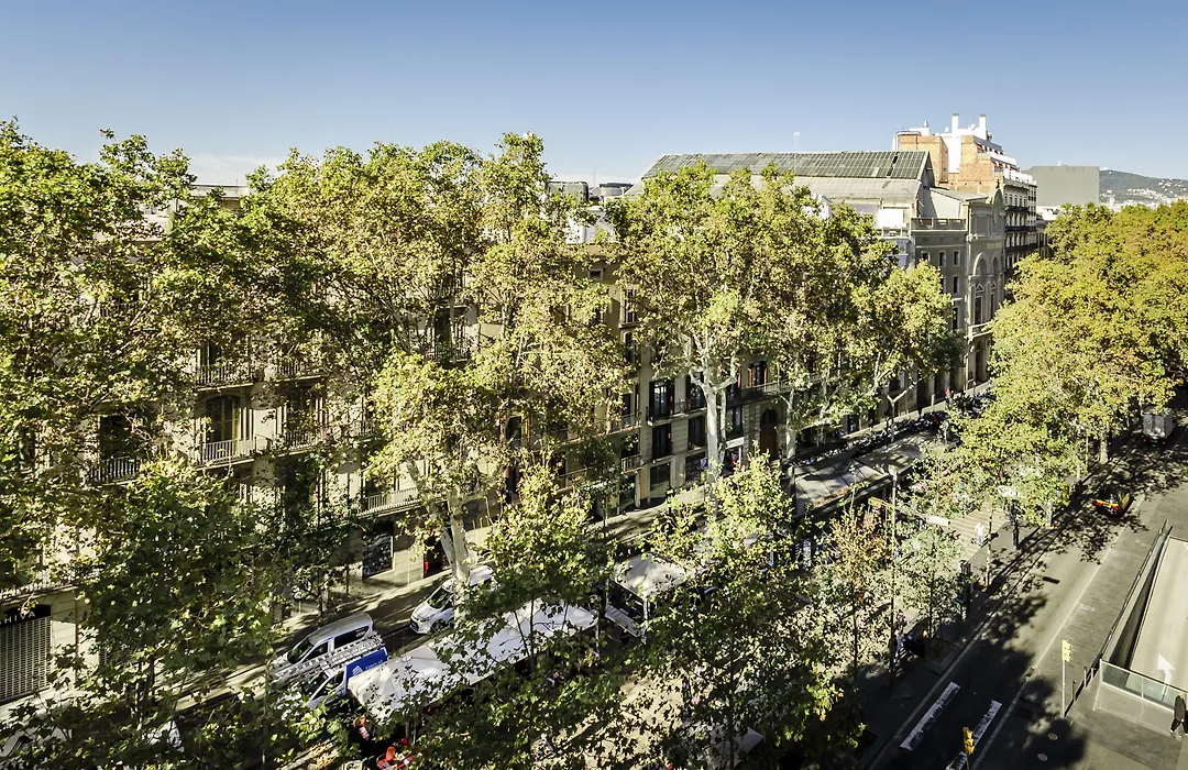 Ikonik Ramblas-1